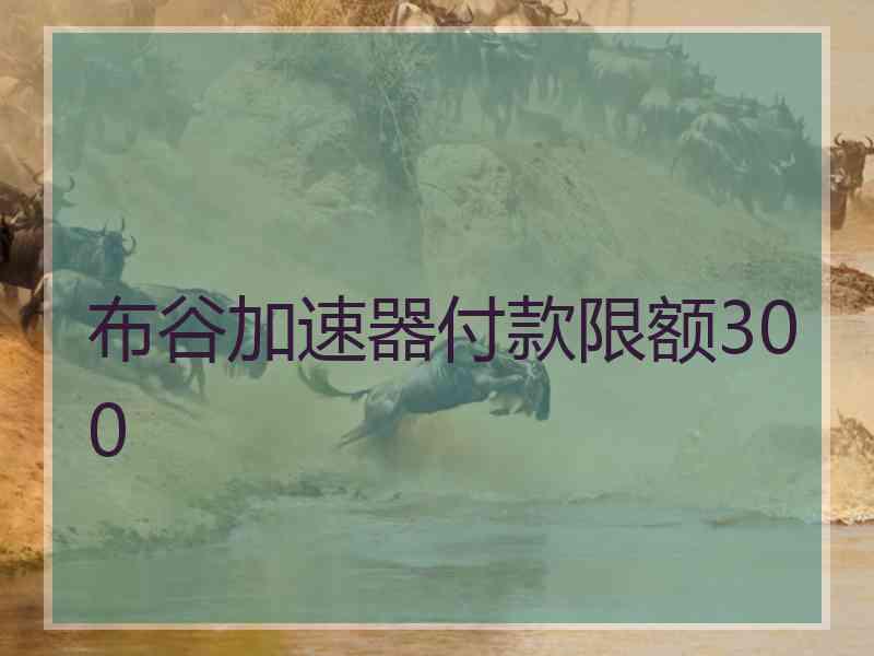布谷加速器付款限额300