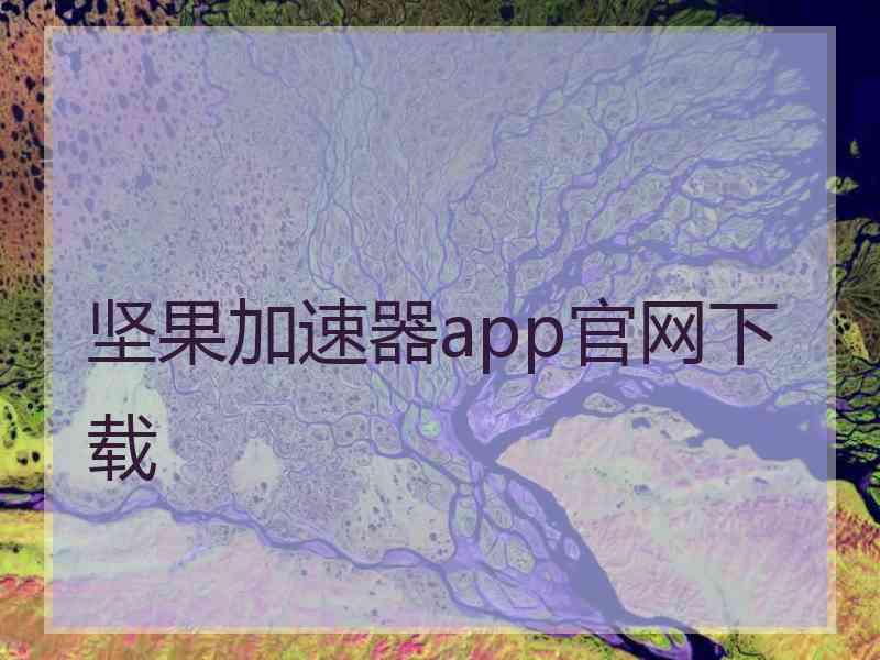 坚果加速器app官网下载