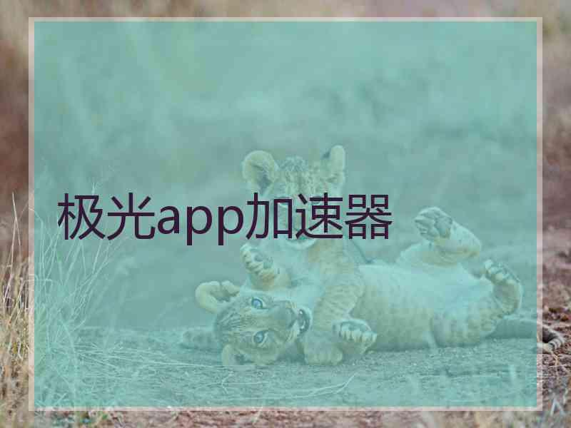 极光app加速器