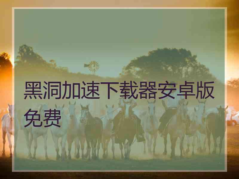 黑洞加速下载器安卓版免费