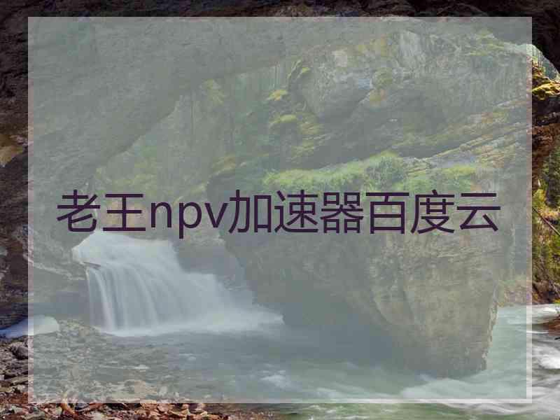 老王npv加速器百度云