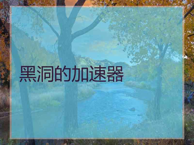 黑洞的加速器