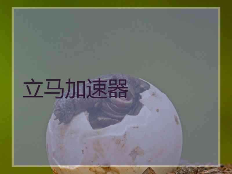 立马加速器