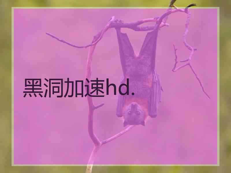 黑洞加速hd.