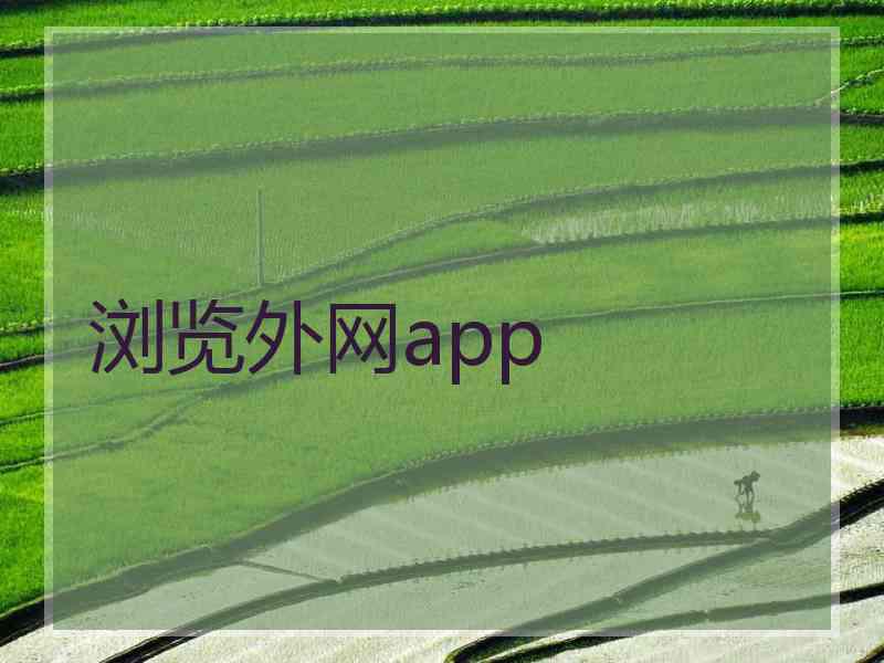 浏览外网app