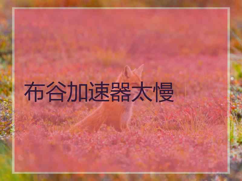 布谷加速器太慢