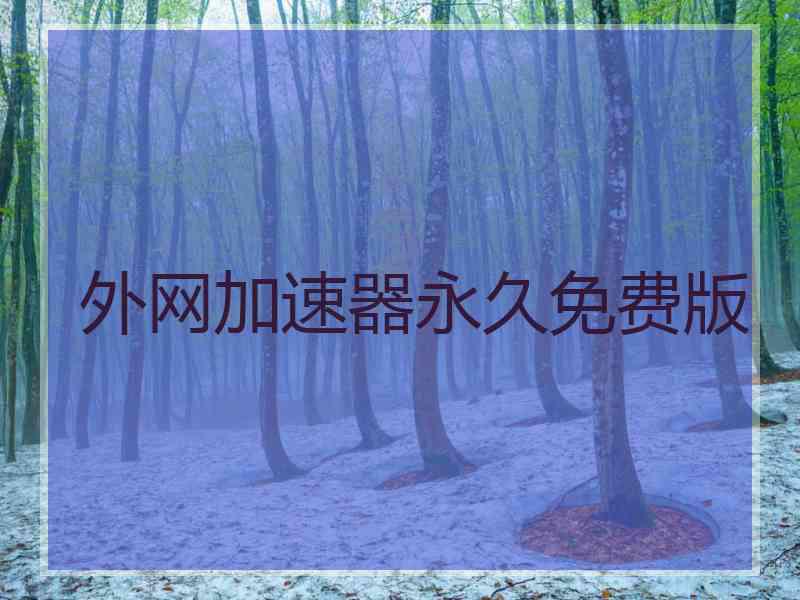 外网加速器永久免费版