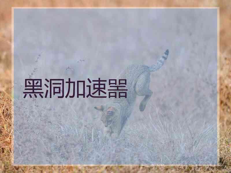 黑洞加速噐