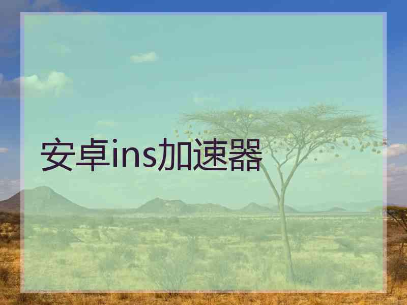 安卓ins加速器